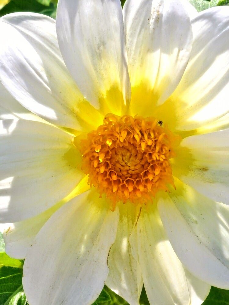 Photograph by Людмила Локтионова