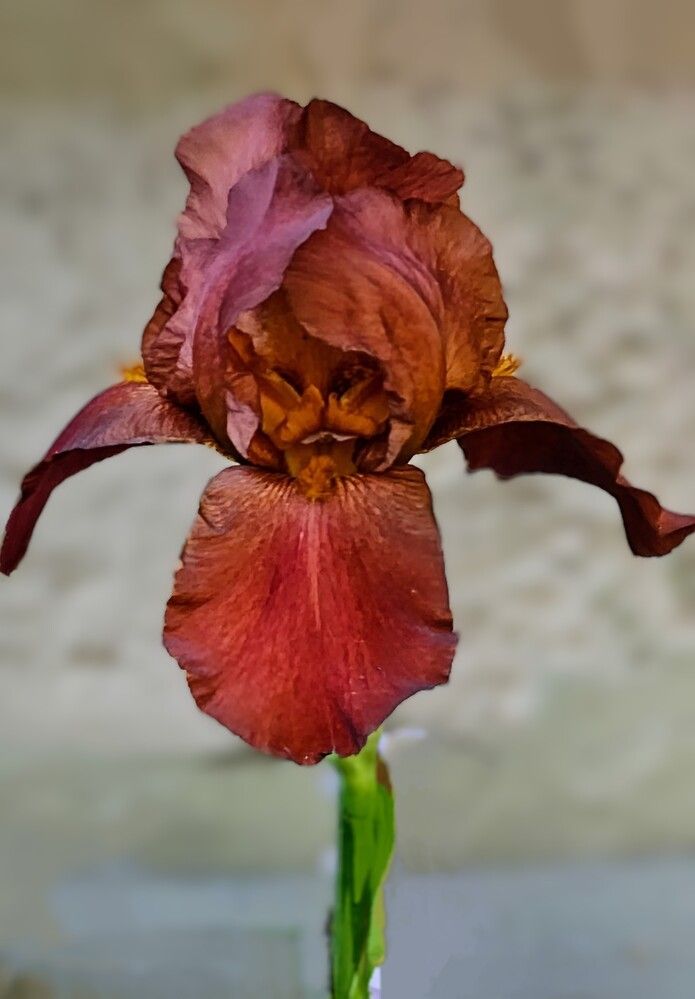 Photograph by Людмила Локтионова