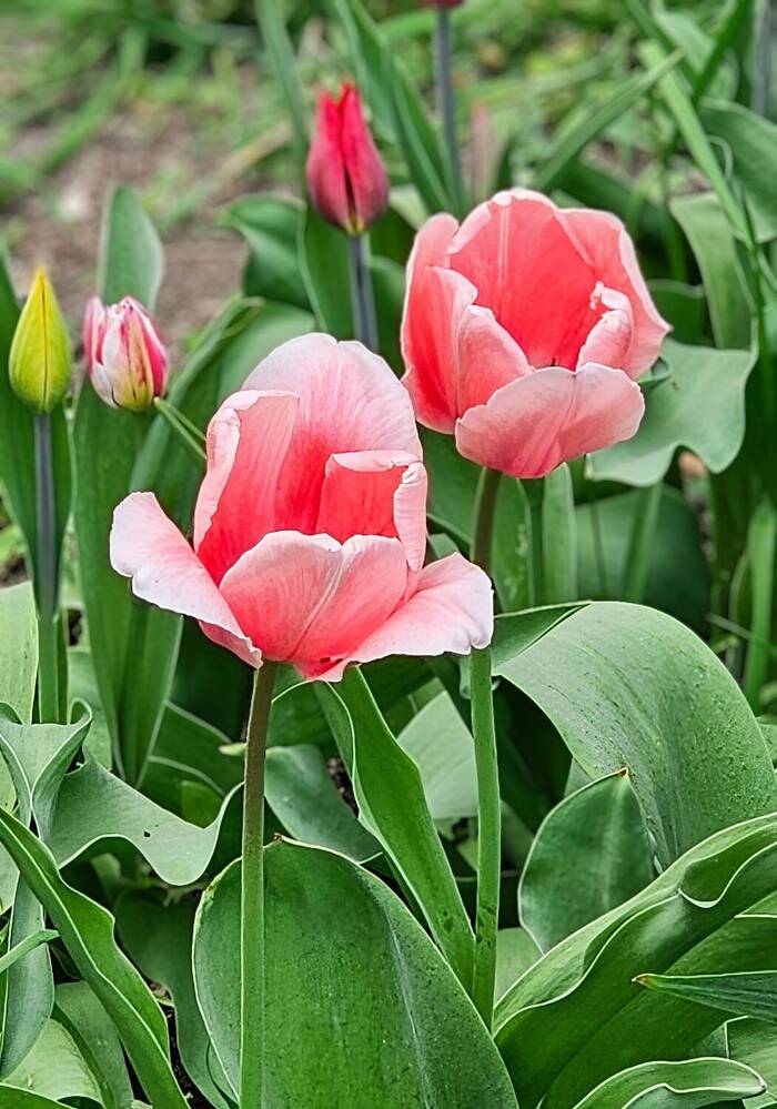 Photograph by Людмила Локтионова