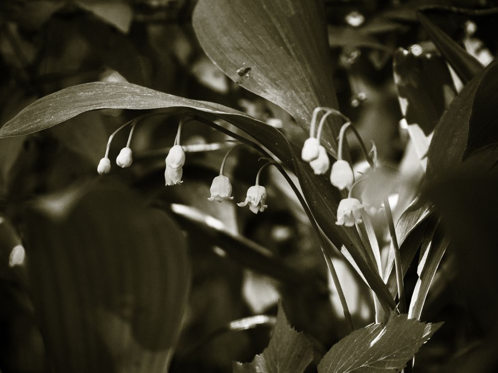 Photograph by Chelyshev Boris