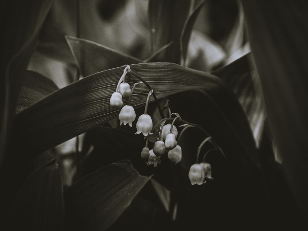 Photograph by Chelyshev Boris