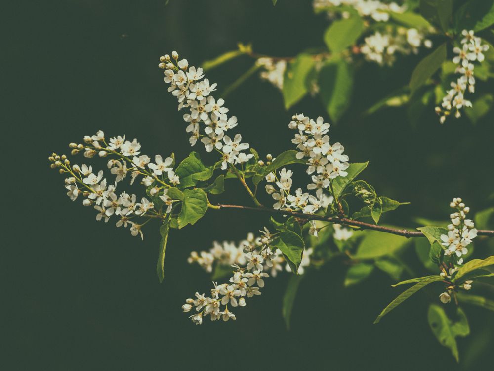 Photograph by Chelyshev Boris