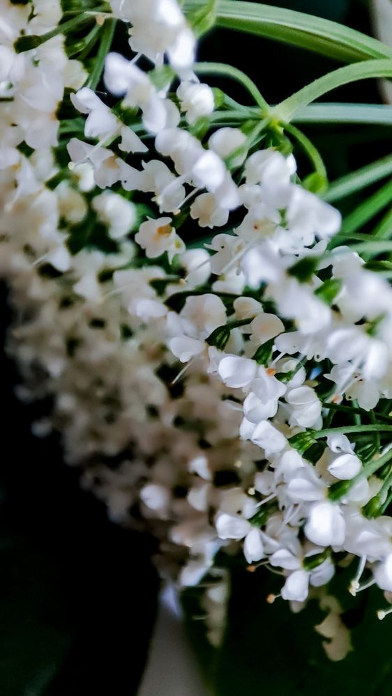 Photograph by Людмила Сергеева