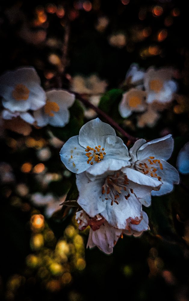 Photograph by Людмила Сергеева