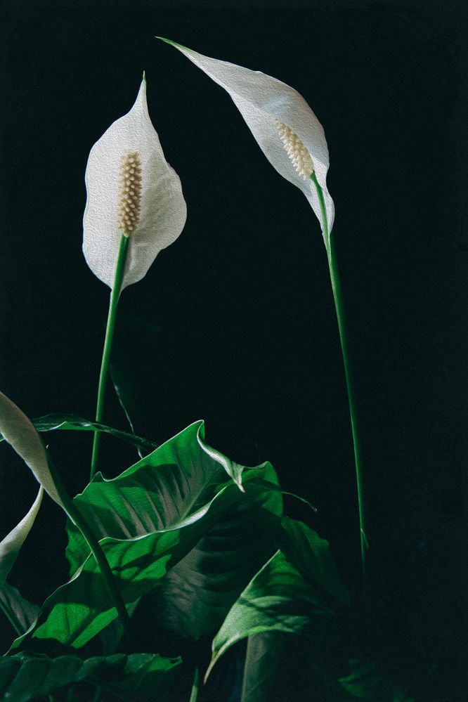 Photograph by Бирюков Павел