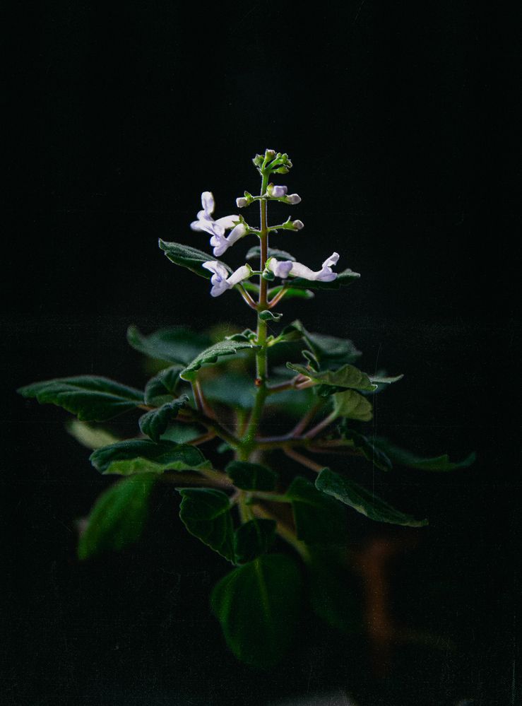 Photograph by Бирюков Павел