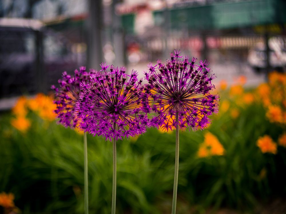 Photograph by Елена Берсенёва