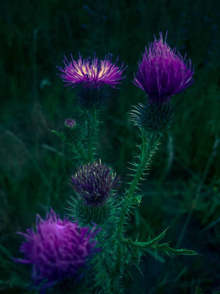 Photograph by Елена Берсенёва