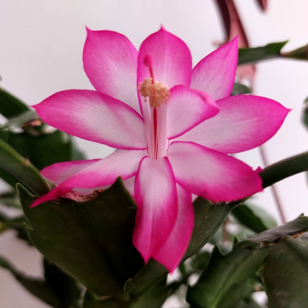 Photograph by Yulia Rotbach