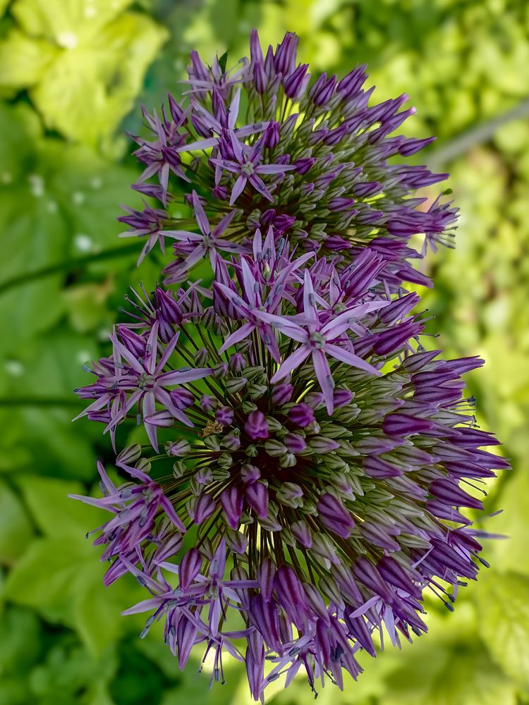 Photograph by Ксения Мельникова