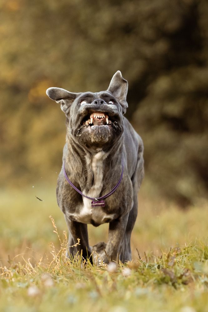 Photograph by Мария Романова