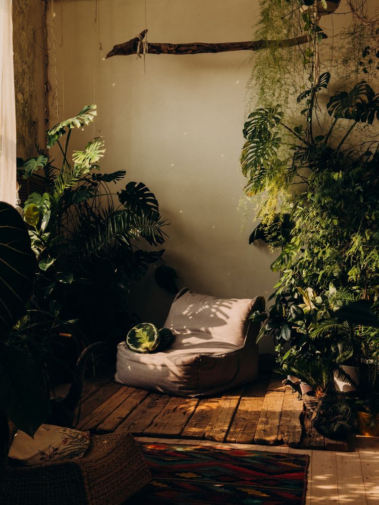 Photograph by Алиса Нежинская