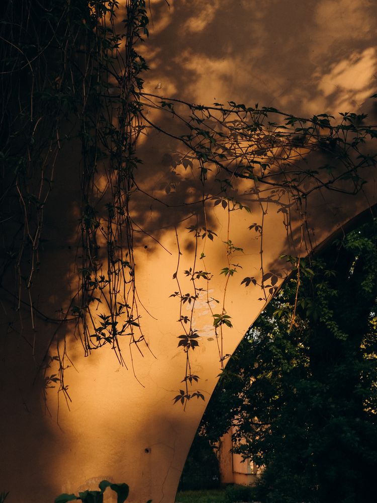 Photograph by Алиса Нежинская