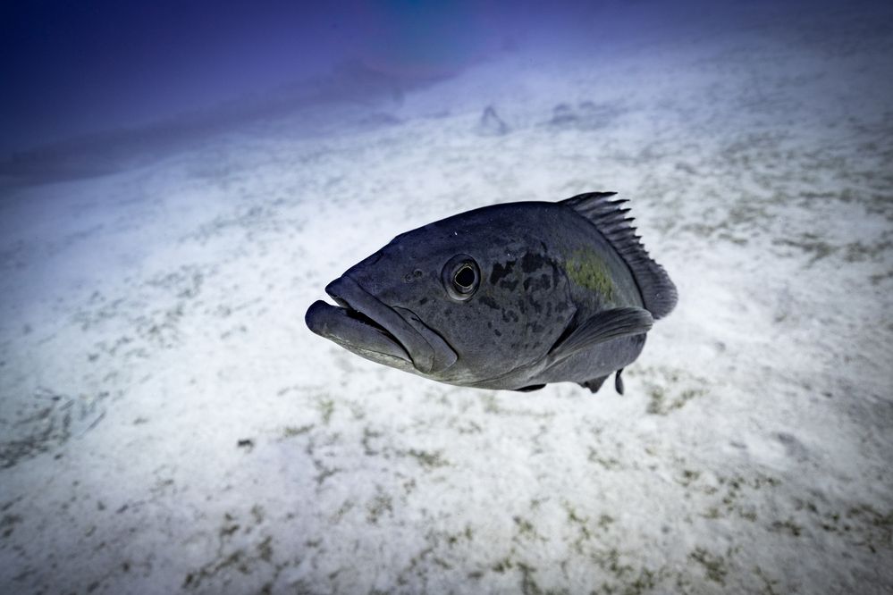 Photograph by Дмитрий Плотников