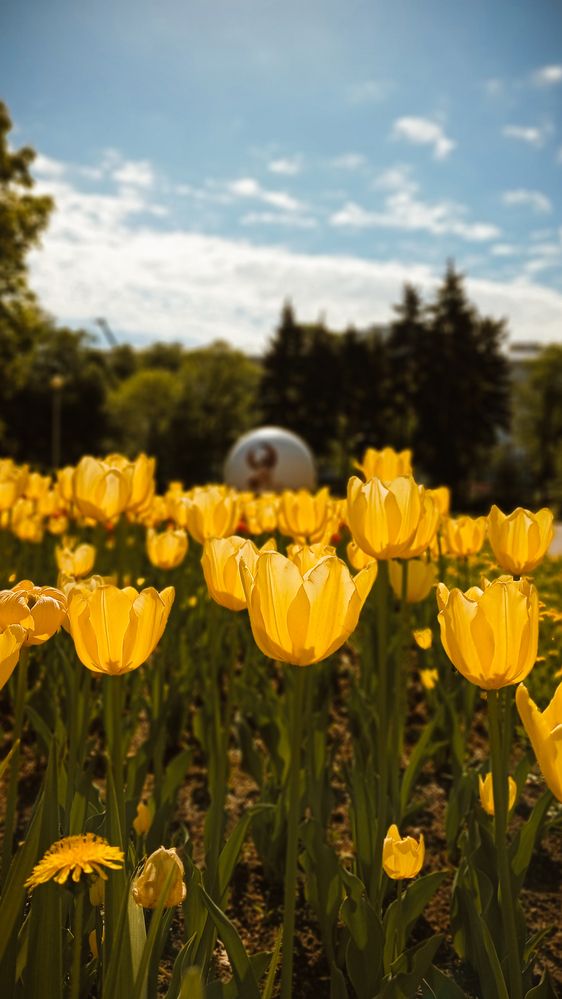 Фотография автора Дарина Фельдман