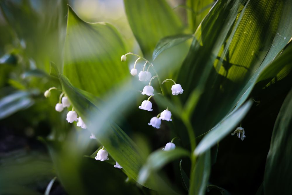 Фотография автора Дарина Фельдман