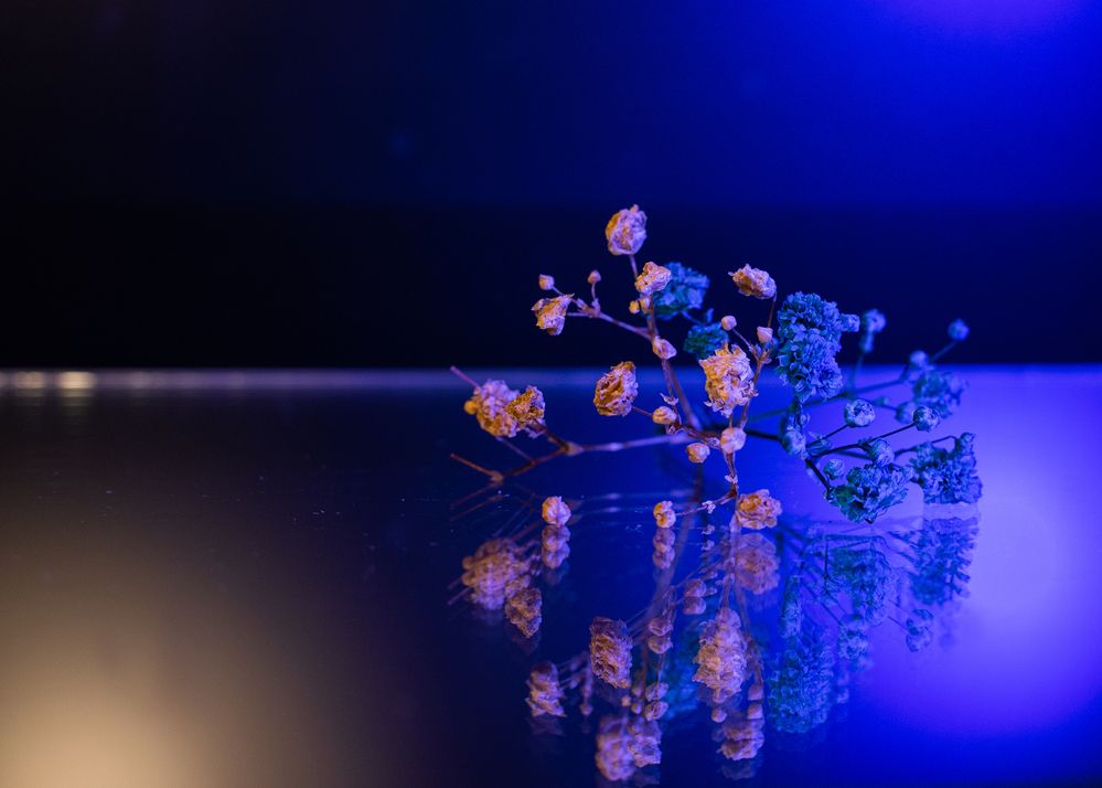 Фотография автора Дарина Фельдман