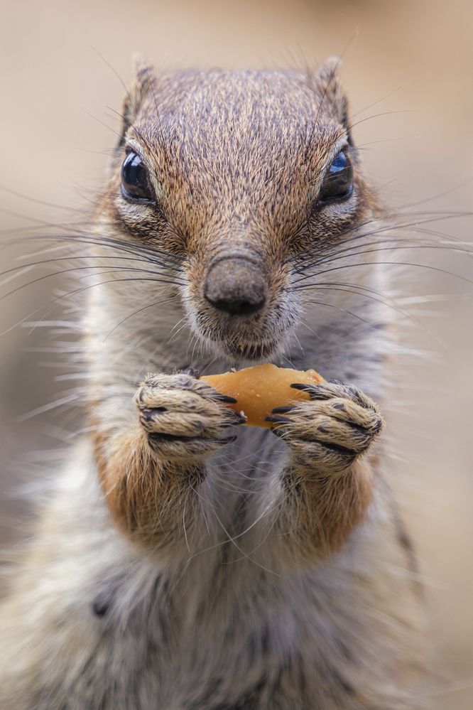 Snack time