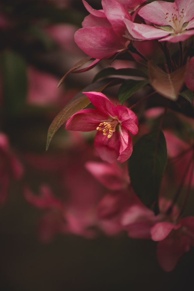 Photograph by Елена Гостева