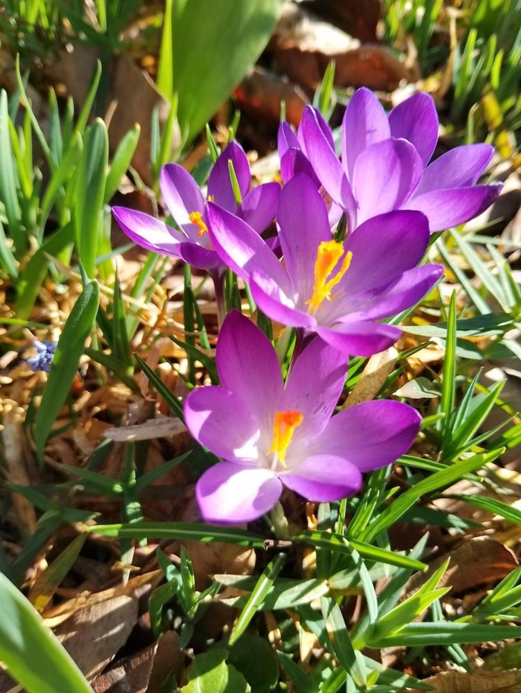 Photograph by Olga Vatkova