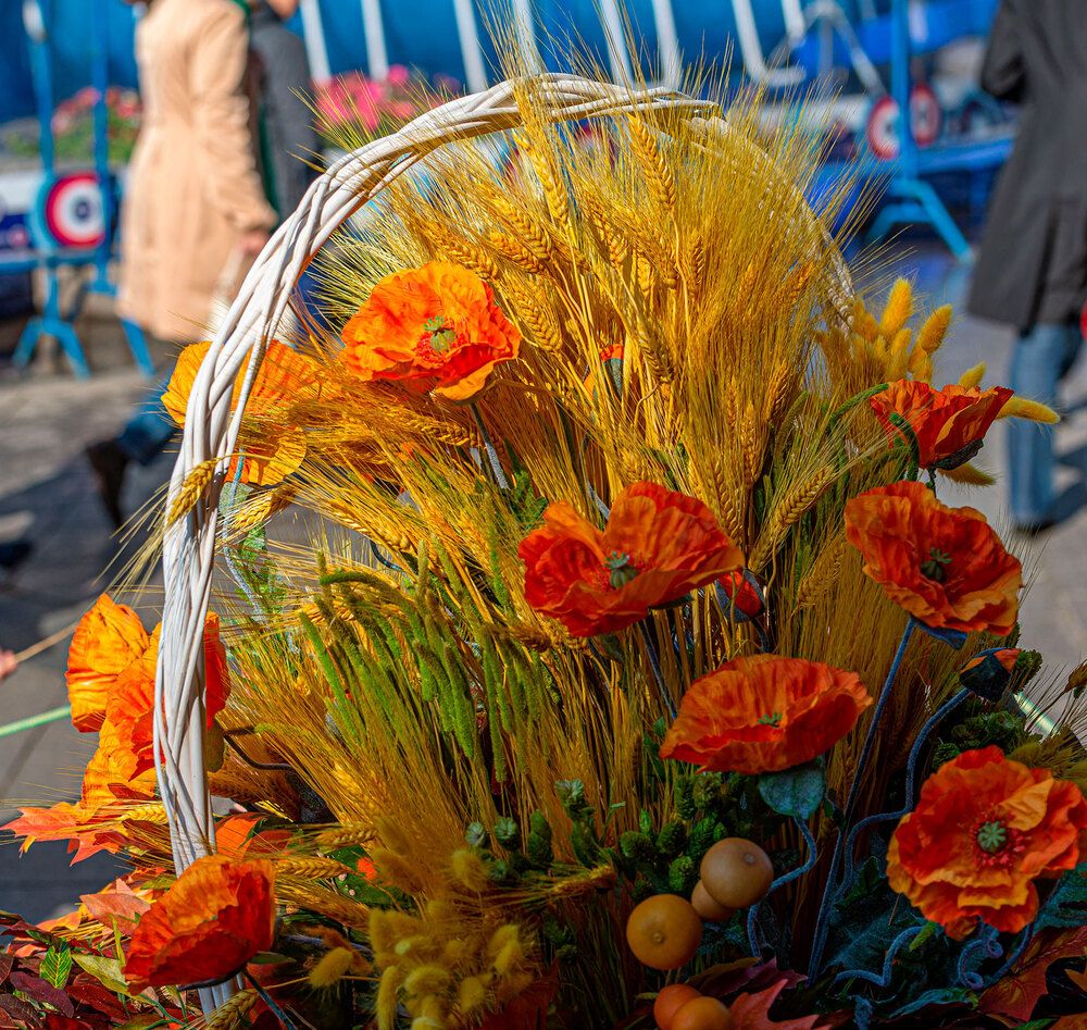 Photograph by Vladimir Arbesman