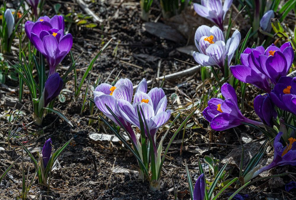 Photograph by Vladimir Arbesman