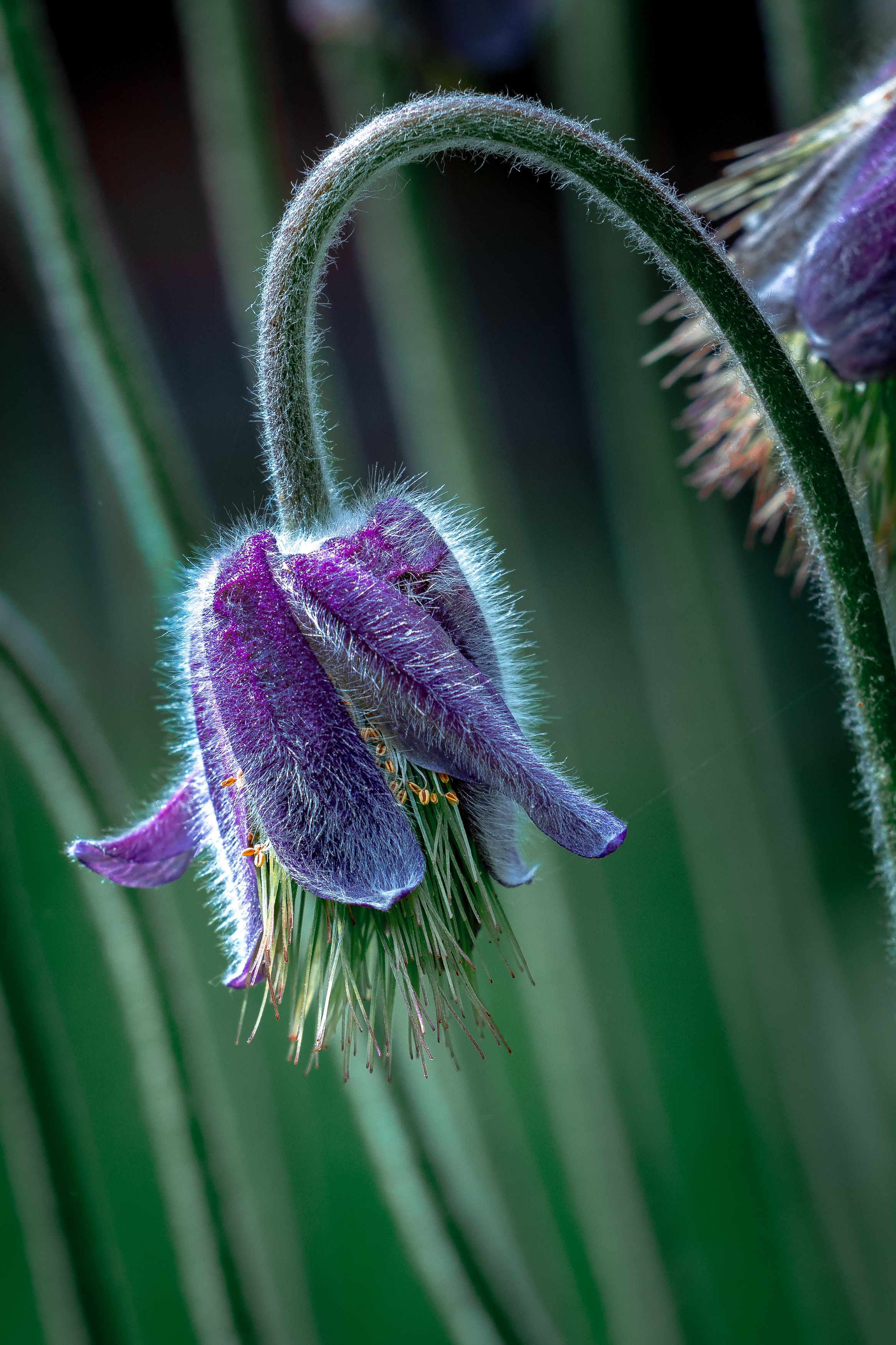 Photograph by Дмитрий Казачек