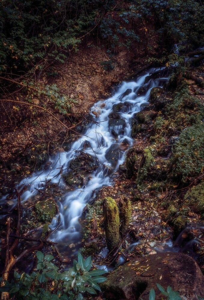 Photograph by Евгений Сеничев