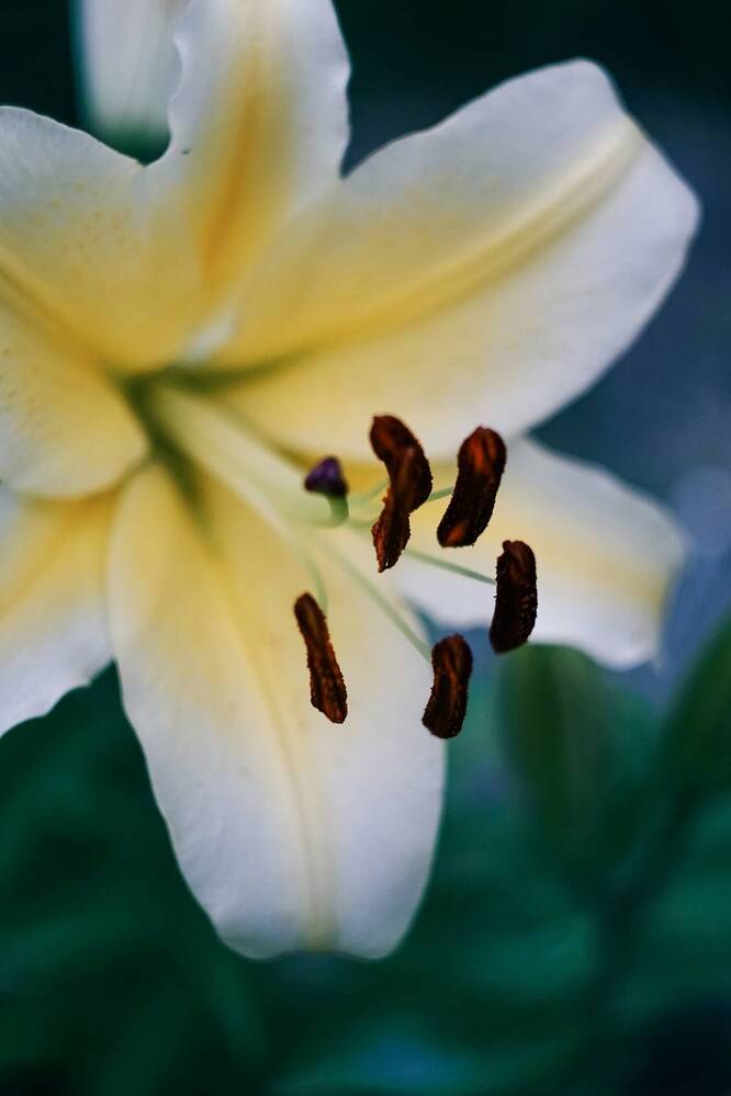 Photograph by Татьяна Моисеева