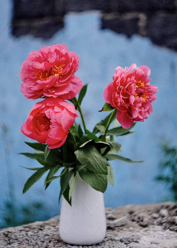 Photograph by Татьяна Моисеева