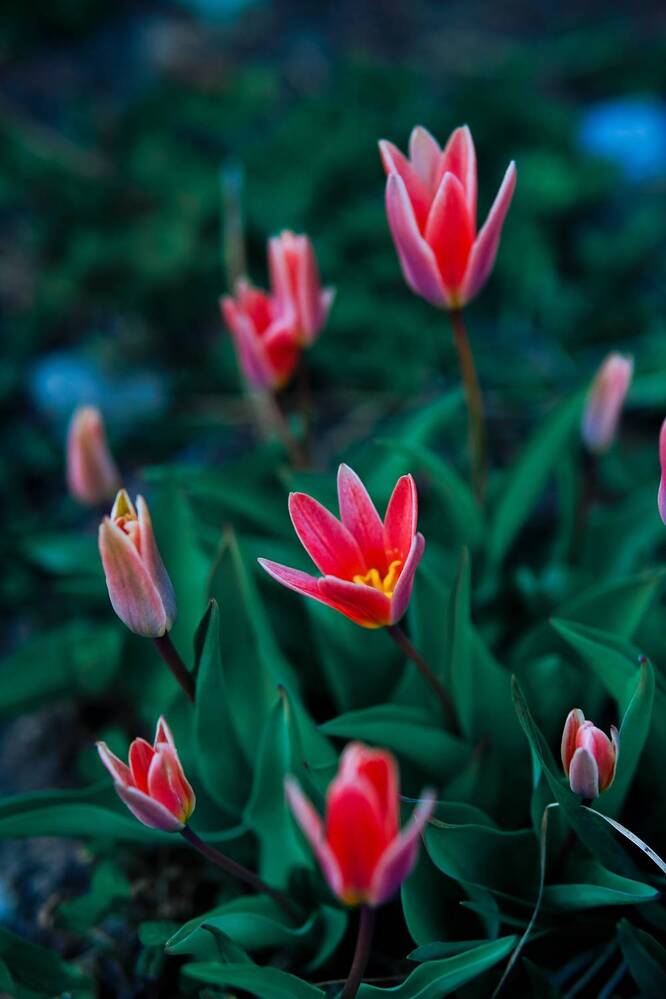 Photograph by Татьяна Моисеева