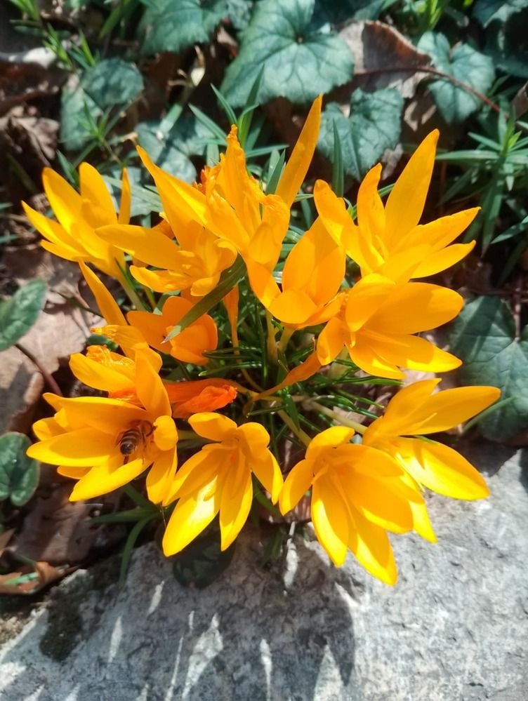 Photograph by Olga Vatkova