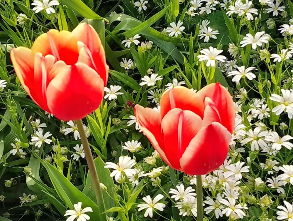 Photograph by Olga Vatkova