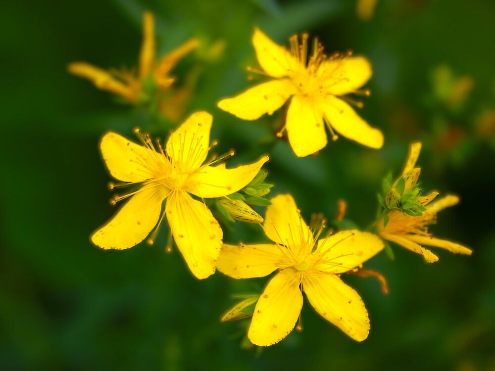 Photograph by Гагик Саркисян