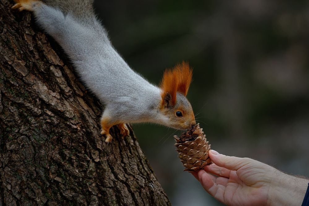 Photograph by Александр Перегудов