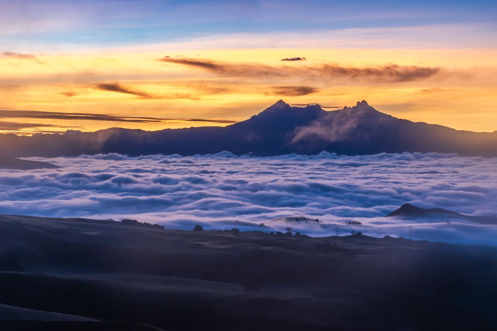 Photograph by Susie Castellano