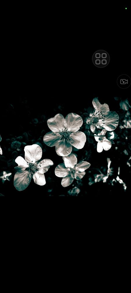 Photograph by Ivan Goshtanar