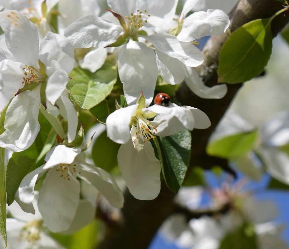 Photograph by Aleksandra Bistrova