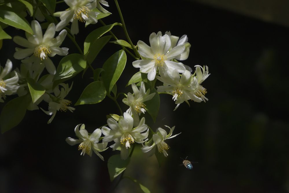 Photograph by Sudhakaran Kookiri