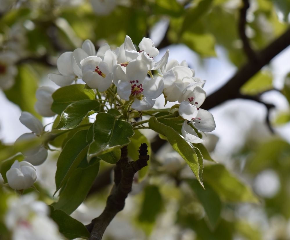 Photograph by Aleksandra Bistrova