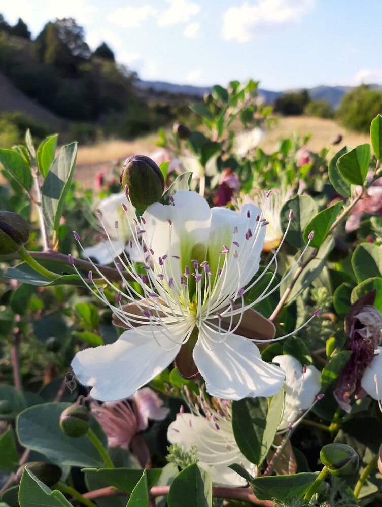 Photograph by Галина Глазкова