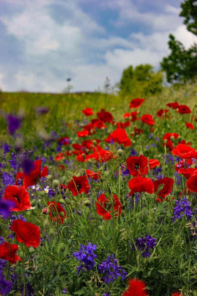 Photograph by Руслан Гордиенко