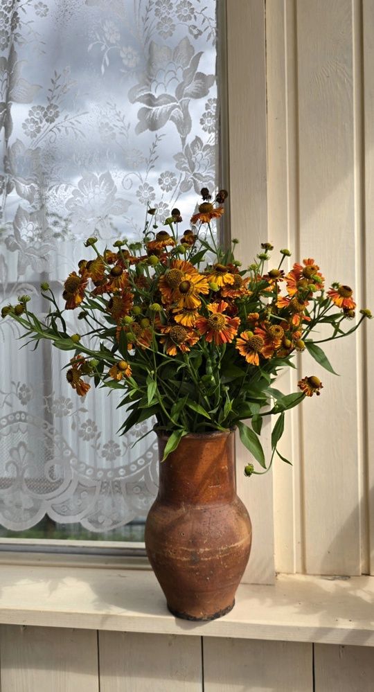 Photograph by Оксана Бессчетнова