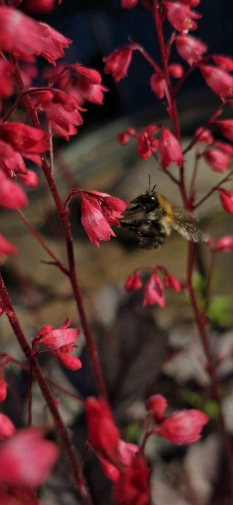 Photograph by Оксана Бессчетнова