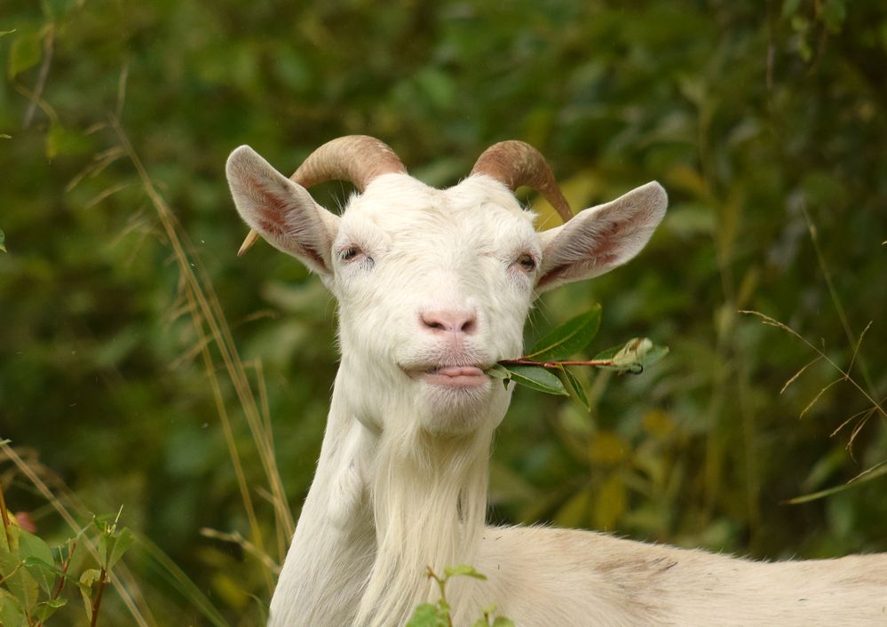 Фотография автора Оксана Льдинина