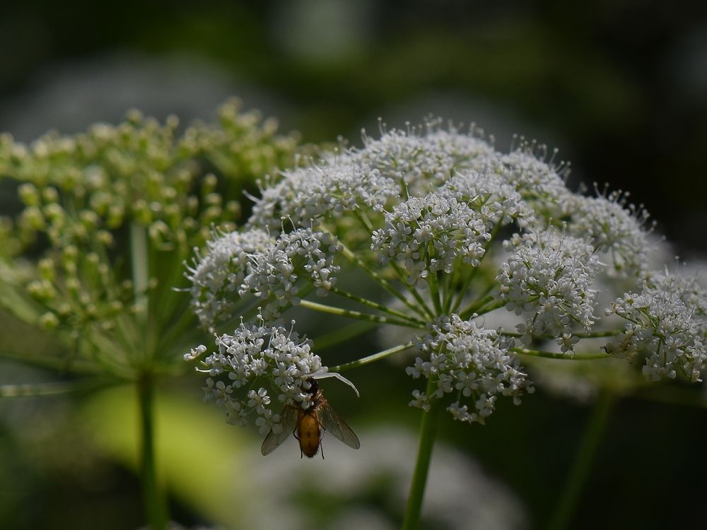 Photograph by Aleksandra Bistrova