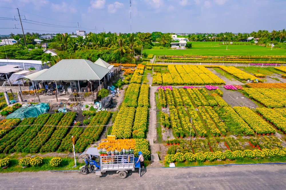 Photograph by Phong Hao Hoang Nguyen