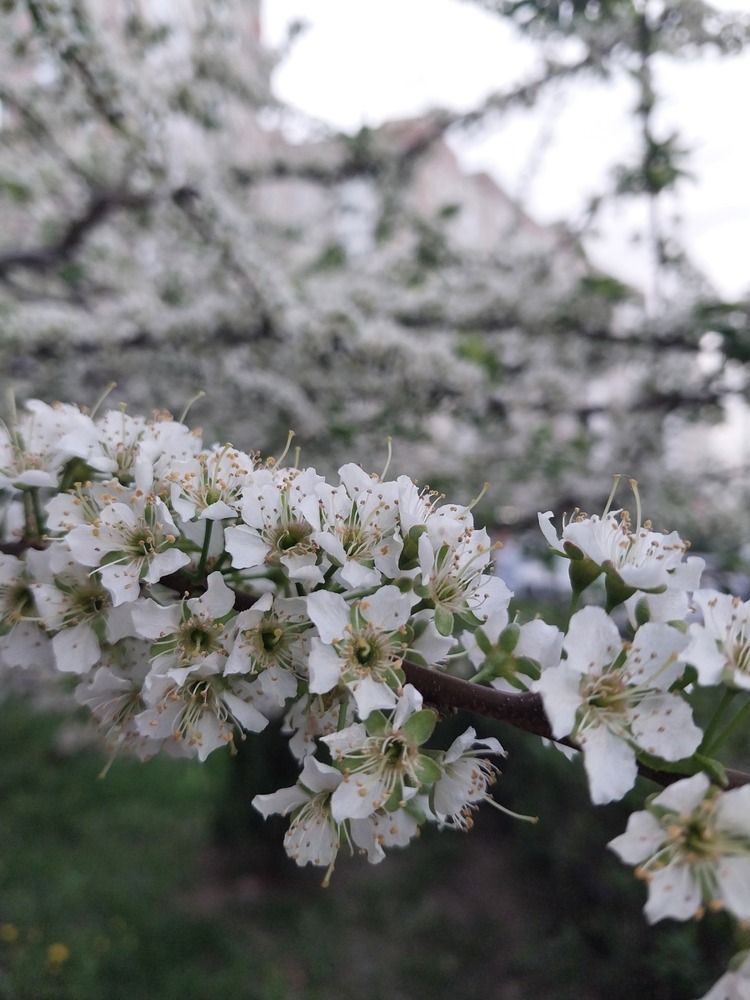 Photograph by Людмила Липаткина