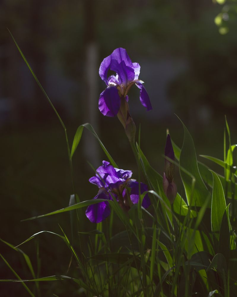 Фотография автора Валентина Комлева