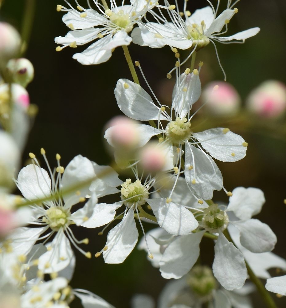 Photograph by Aleksandra Bistrova